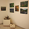 19 октября 2012год экспозиция выставки